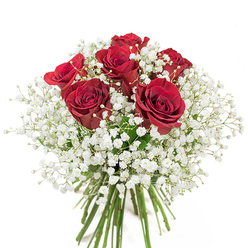 This luminous bouquet, lovingly crafted by a local Temple florist, offers a celebration of balance and beauty against a crisp white setting. At its heart are six sumptuous red roses, their velvety petals unfurling in luxurious spirals, bathing the bouquet in a passionate, romantic glow reminiscent of summer blooms in Fountain Court gardens. Gently woven between these bold blossoms is an abundant scattering of white baby's breath, their clouds of tiny, star-shaped flowers creating a soft, airy contrast as if morning mist had settled across the arrangement. The long, verdant stems are freshly cut and bundled by expert hands, visible beneath the full, rounded display-a sign of genuine care and attention commonplace in Temple's flower shops. The interplay of deep red and radiant white creates a visual duet: passionate yet serene, striking yet filled with gentle grace. Sensory details invite the mind closer-the subtle perfume of the roses, the fragile texture of gypsophila, and the freshness that evokes strolls by the Thames or through Temple's quiet gardens. This classic bouquet transcends fleeting trends, carrying with it the enduring symbolism of love, grace, and heartfelt sentiment. Ideal for anniversaries, birthdays, or spontaneous gestures, and available for prompt Temple delivery, it brings a touch of sophisticated beauty and thoughtful artistry that resonates in every setting.